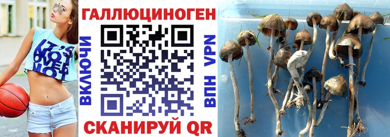 Галлюциногенные грибы ЛСД  Шахты 